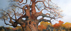 Baobab – Mapunqube Nature Reserve – Limpopo | 2012 | Oil on Canvas | 76 x 115 cm